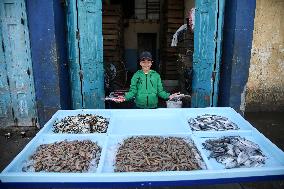 Fishermen In Egypt