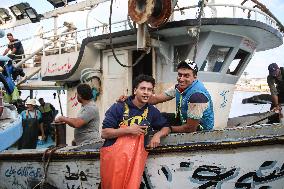 Fishermen In Egypt