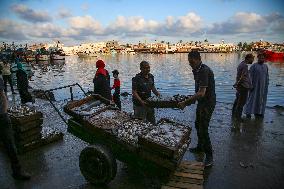 Fishermen In Egypt