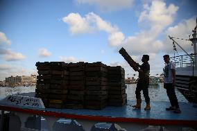 Fishermen In Egypt