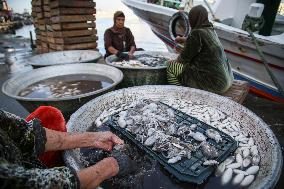 Fishermen In Egypt