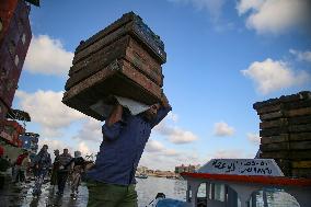 Fishermen In Egypt