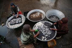 Fishermen In Egypt