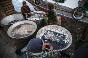 Fishermen In Egypt