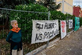 Presidium And Protest Over The Felling Of Pine Trees