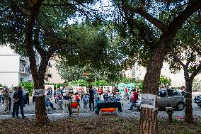 Presidium And Protest Over The Felling Of Pine Trees