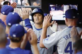 Baseball: Dodgers vs. Mets