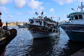 Ezbet El-Borg In Damietta Is The Most Famous Fishing Area In Egypt
