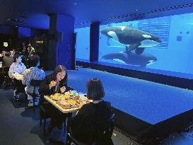 Renovated aquarium in western Japan