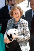 Queen Sofia Attends Presentation Of Two New Pandas At Zoo - Madrid