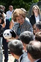 Queen Sofia Attends Presentation Of Two New Pandas At Zoo - Madrid