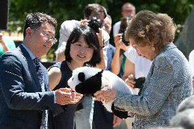 Queen Sofia Attends Presentation Of Two New Pandas At Zoo - Madrid