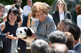 Queen Sofia Attends Presentation Of Two New Pandas At Zoo - Madrid