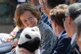 Queen Sofia Attends Presentation Of Two New Pandas At Zoo - Madrid