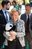 Queen Sofia Attends Presentation Of Two New Pandas At Zoo - Madrid