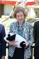 Queen Sofia Attends Presentation Of Two New Pandas At Zoo - Madrid