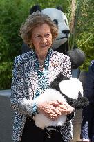 Queen Sofia Attends Presentation Of Two New Pandas At Zoo - Madrid