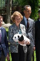 Queen Sofia Attends Presentation Of Two New Pandas At Zoo - Madrid