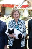 Queen Sofia Attends Presentation Of Two New Pandas At Zoo - Madrid