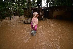 Floods Swamp Assam - India