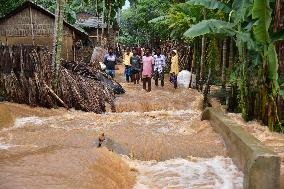 Floods Swamp Assam - India