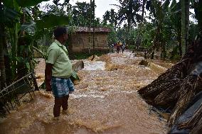 Floods Swamp Assam - India