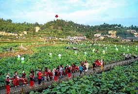 Lotus Pond Tour in Huaying