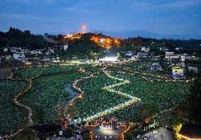 Lotus Pond Tour in Huaying