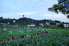 Lotus Pond Tour in Huaying