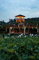 Lotus Pond Tour in Huaying