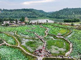 Lotus Pond Tour in Huaying
