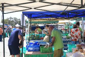 MALTA-TA'QALI-MARKET