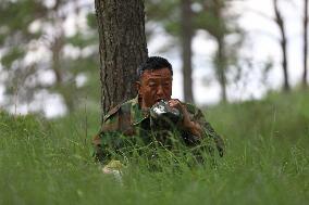 ChineseToday | A ranger guards forest for 37 years in NE China's Liaoning