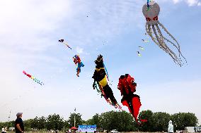 First Shandong Provincial Open Kite Competition in Zaozhuang