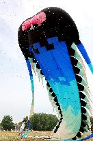 First Shandong Provincial Open Kite Competition in Zaozhuang