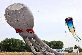 First Shandong Provincial Open Kite Competition in Zaozhuang