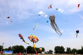 First Shandong Provincial Open Kite Competition in Zaozhuang