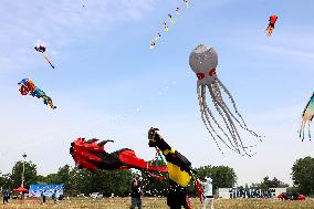 First Shandong Provincial Open Kite Competition in Zaozhuang
