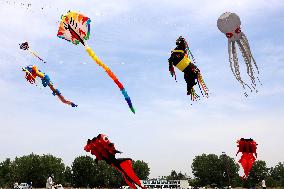 First Shandong Provincial Open Kite Competition in Zaozhuang
