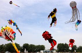 First Shandong Provincial Open Kite Competition in Zaozhuang