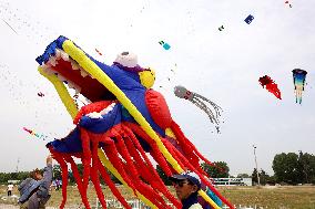 First Shandong Provincial Open Kite Competition in Zaozhuang