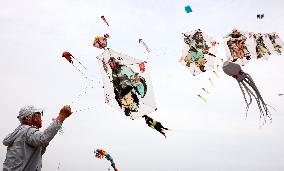 First Shandong Provincial Open Kite Competition in Zaozhuang