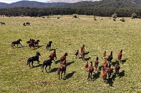 T?RKIYE-AFYONKARAHISAR-NATURE-HORSES