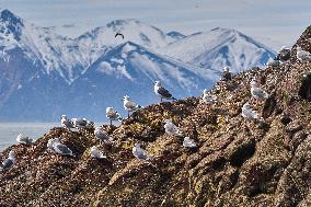 RUSSIA-KAMCHATKA-LANDSCAPE