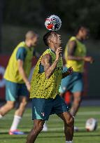 The Portugal AA football team's training session in preparation for EURO 2024