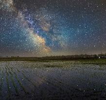 Night View Of Paddy Fields - China