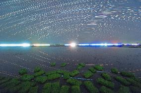 Night View Of Paddy Fields - China