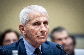 Dr. Anthony Fauci testifies to House committee on coronavirus