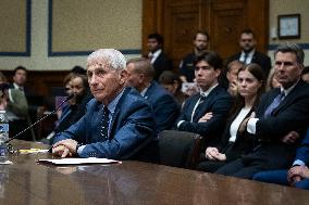 Dr. Anthony Fauci testifies to House committee on coronavirus