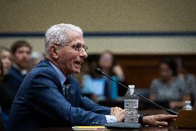 Dr. Anthony Fauci testifies to House committee on coronavirus